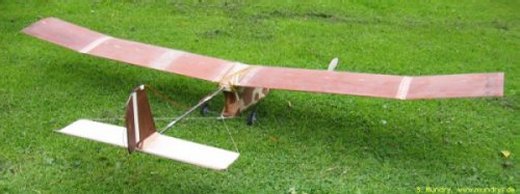 Flugkuh von Hinten